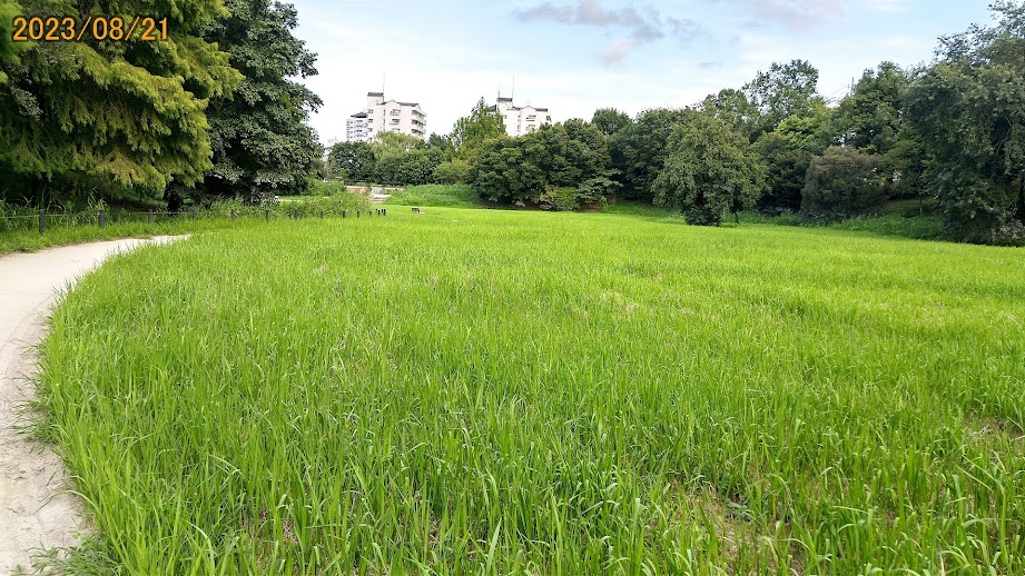 行政対応(環境改善)