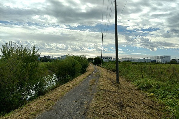 行政対応(環境改善)