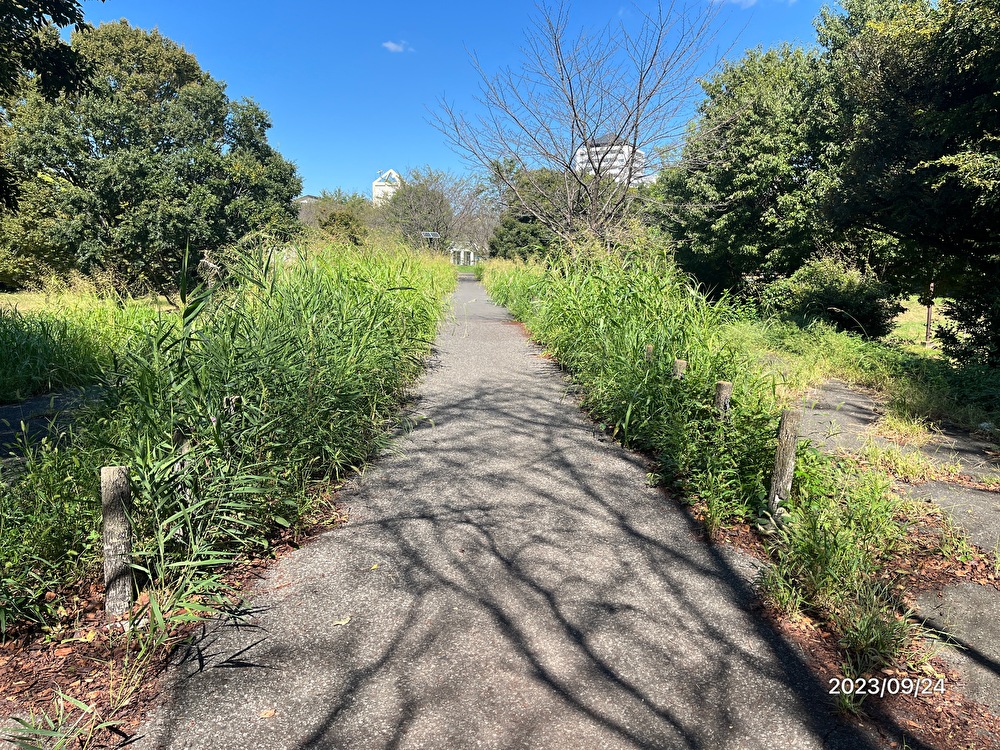 行政対応(環境改善)