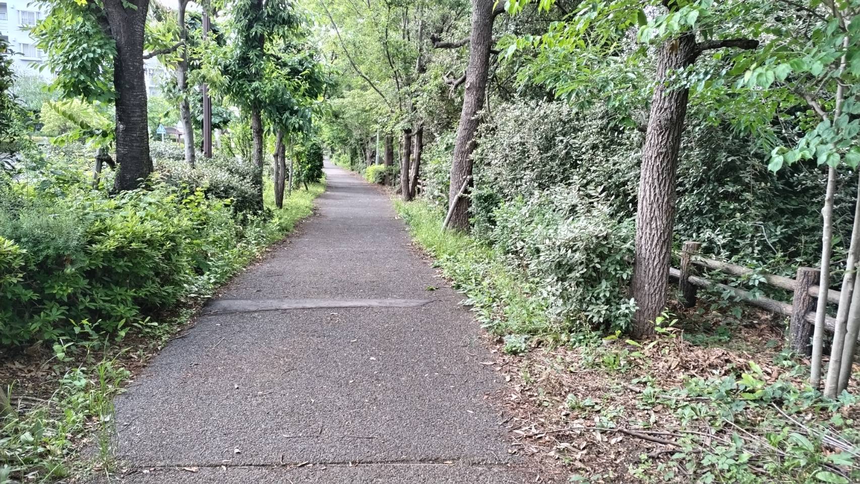 行政対応(環境改善)