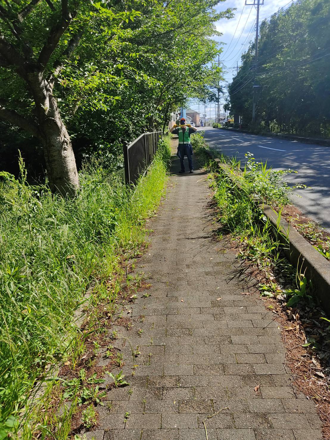 行政対応(環境改善)