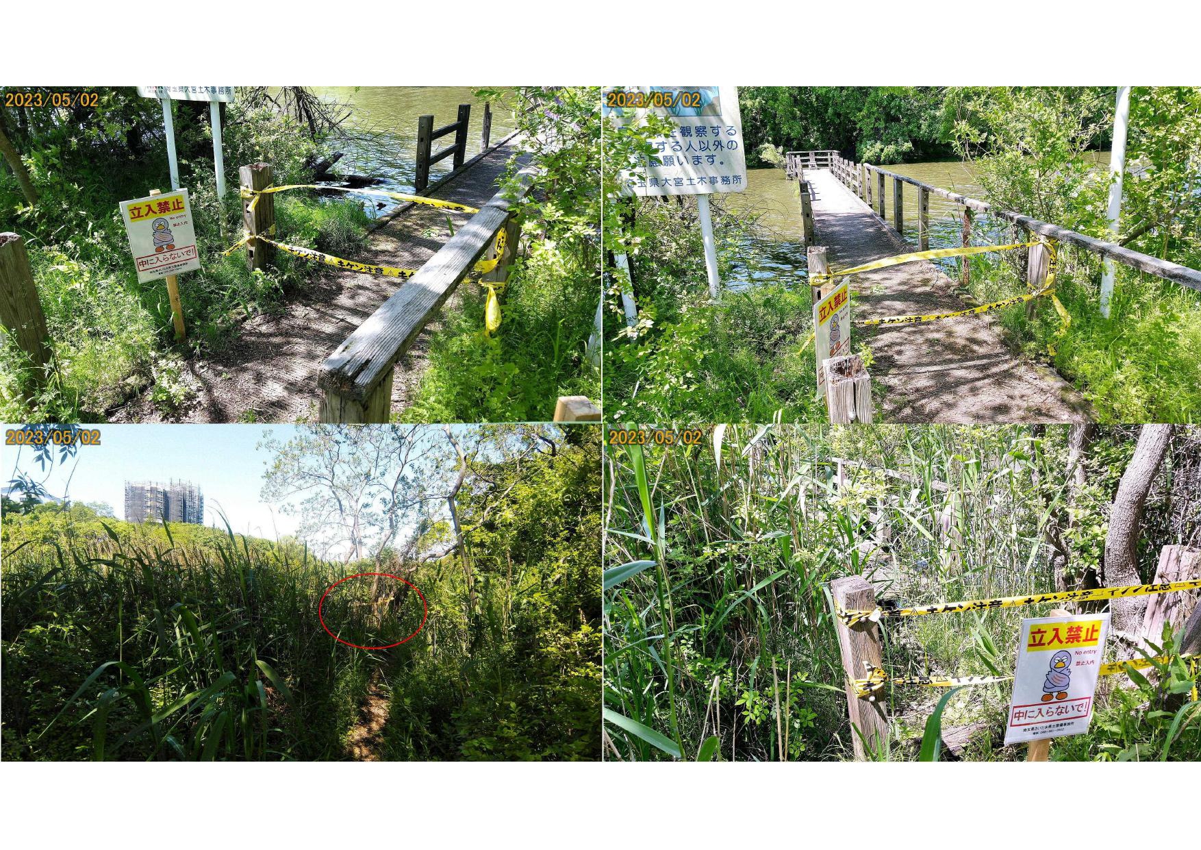 行政対応(環境改善)