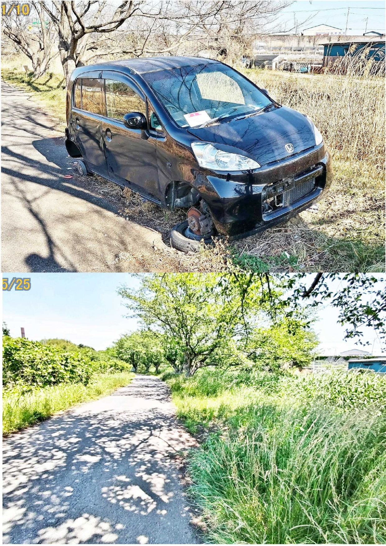 行政対応(環境改善)