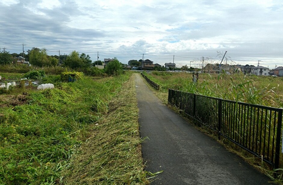 行政対応(環境改善)