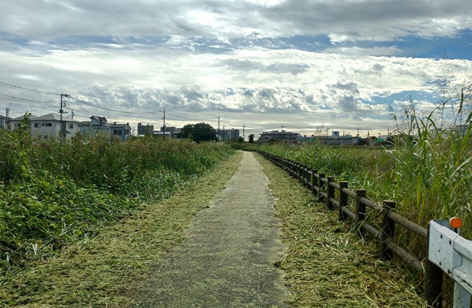 行政対応(環境改善)