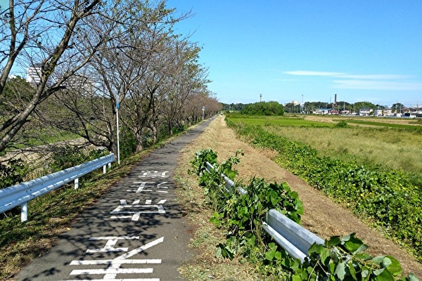 行政対応(環境改善)