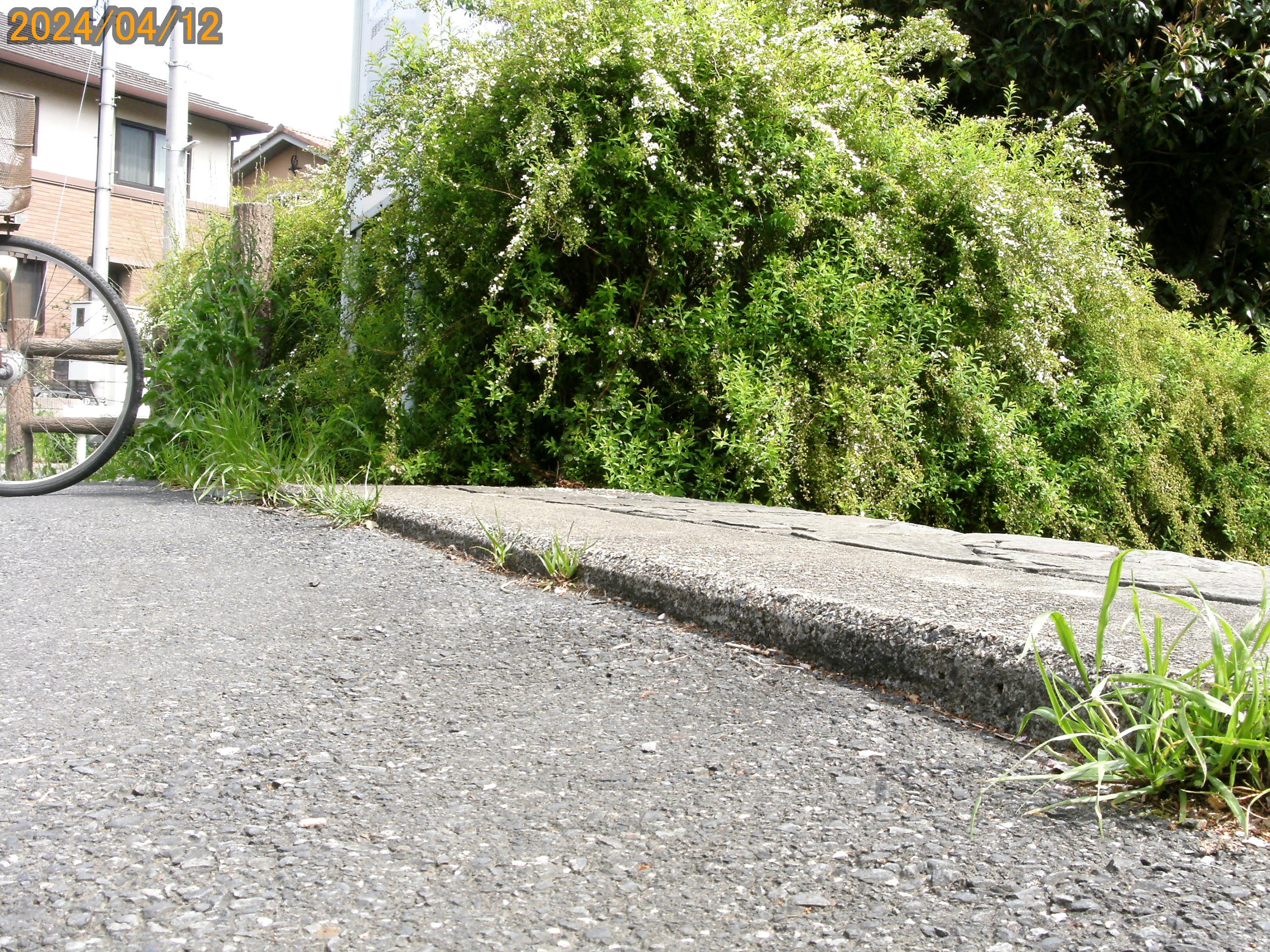 行政対応(環境改善)