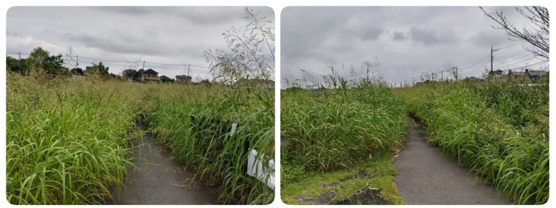 行政対応(環境改善)