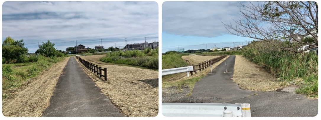 行政対応(環境改善)