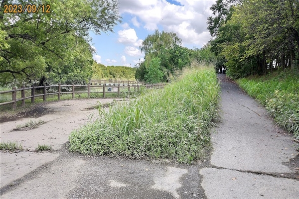 行政対応(環境改善)